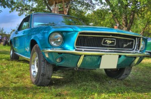 mustang